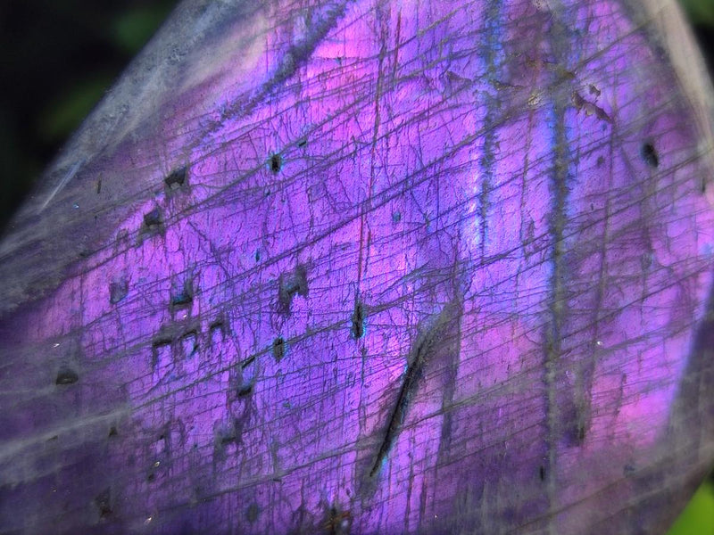 Polished Rare Purple Sunset Flash Labradorite Standing Free Forms x 4 From Madagascar - Toprock Gemstones and Minerals 