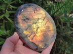 Polished Rare Purple Sunset Flash Labradorite Standing Free Forms x 4 From Madagascar - Toprock Gemstones and Minerals 