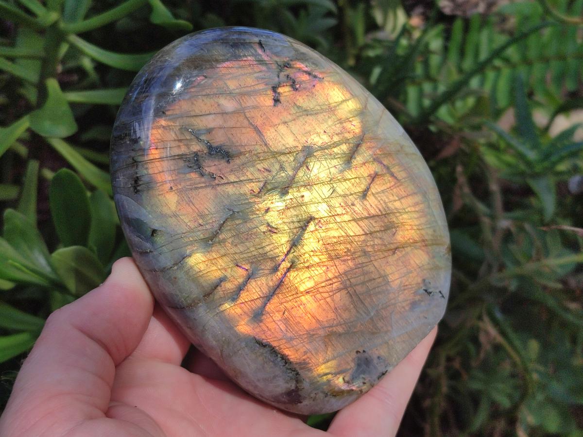 Polished Rare Purple Sunset Flash Labradorite Standing Free Forms x 4 From Madagascar - Toprock Gemstones and Minerals 