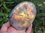 Polished Rare Purple Sunset Flash Labradorite Standing Free Forms x 4 From Madagascar - Toprock Gemstones and Minerals 