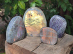 Polished Rare Purple Sunset Flash Labradorite Standing Free Forms x 4 From Madagascar - Toprock Gemstones and Minerals 