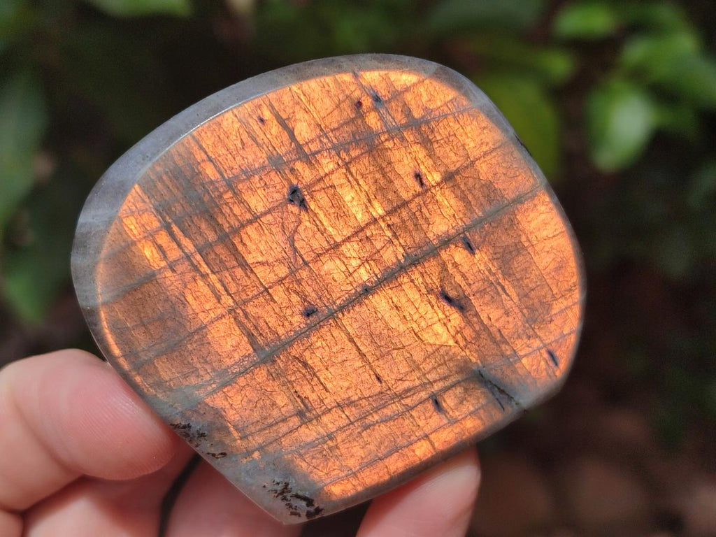Polished Rare Purple Sunset Flash Labradorite Standing Free Forms x 4 From Madagascar - Toprock Gemstones and Minerals 