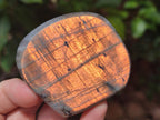 Polished Rare Purple Sunset Flash Labradorite Standing Free Forms x 4 From Madagascar - Toprock Gemstones and Minerals 