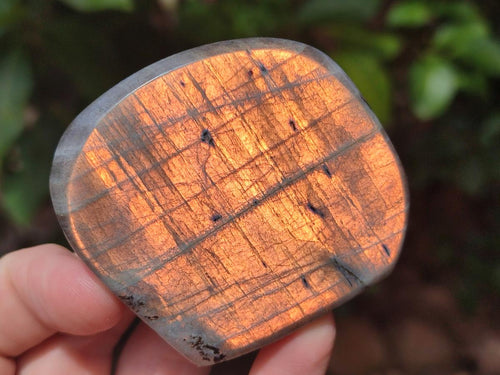 Polished Rare Purple Sunset Flash Labradorite Standing Free Forms x 4 From Madagascar - Toprock Gemstones and Minerals 