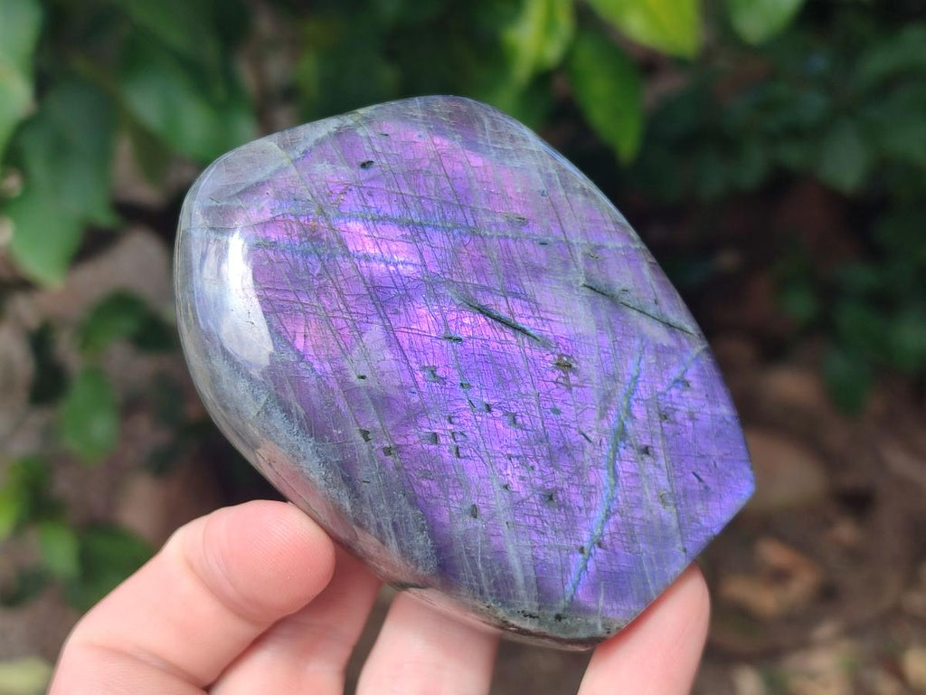 Polished Rare Purple Sunset Flash Labradorite Standing Free Forms x 4 From Madagascar - Toprock Gemstones and Minerals 
