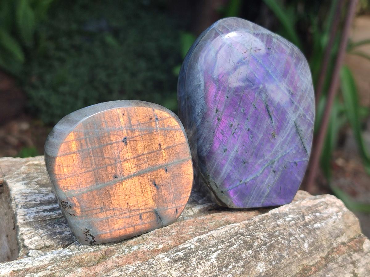 Polished Rare Purple Sunset Flash Labradorite Standing Free Forms x 4 From Madagascar - Toprock Gemstones and Minerals 