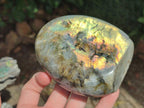 Polished Rare Purple Sunset Flash Labradorite Standing Free Forms x 4 From Madagascar - Toprock Gemstones and Minerals 