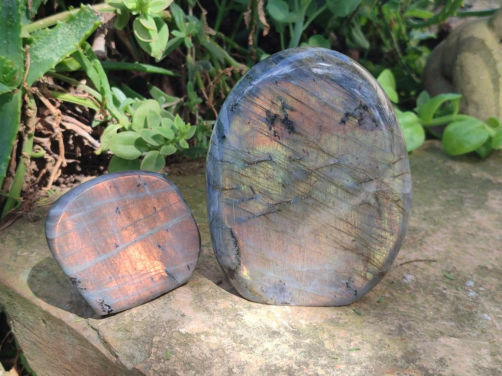 Polished Rare Purple Sunset Flash Labradorite Standing Free Forms x 4 From Madagascar - Toprock Gemstones and Minerals 