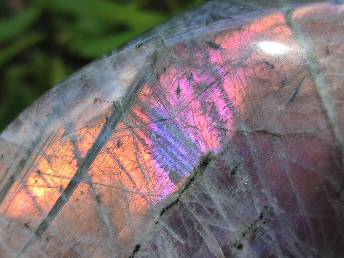 Polished Rare Purple Sunset Flash Labradorite Standing Free Forms x 4 From Madagascar - Toprock Gemstones and Minerals 