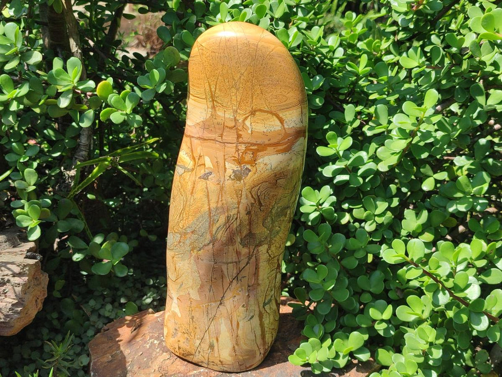 Polished XL Picture Stone Jasper Standing Display Piece x 1 From Ais-Ais, Namibia - Toprock Gemstones and Minerals 