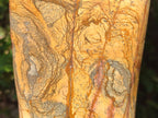Polished XL Picture Stone Jasper Standing Display Piece x 1 From Ais-Ais, Namibia - Toprock Gemstones and Minerals 