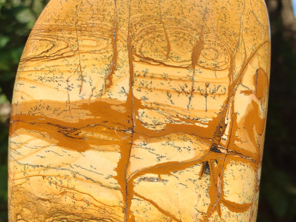 Polished XL Picture Stone Jasper Standing Display Piece x 1 From Ais-Ais, Namibia - Toprock Gemstones and Minerals 
