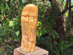 Polished XL Picture Stone Jasper Standing Display Piece x 1 From Ais-Ais, Namibia - Toprock Gemstones and Minerals 