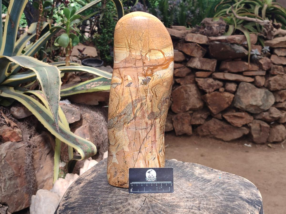 Polished XL Picture Stone Jasper Standing Display Piece x 1 From Ais-Ais, Namibia - Toprock Gemstones and Minerals 