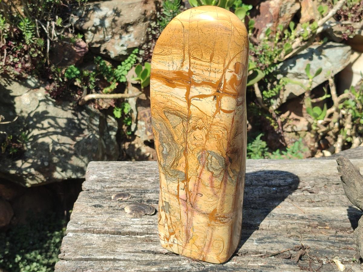 Polished XL Picture Stone Jasper Standing Display Piece x 1 From Ais-Ais, Namibia - Toprock Gemstones and Minerals 