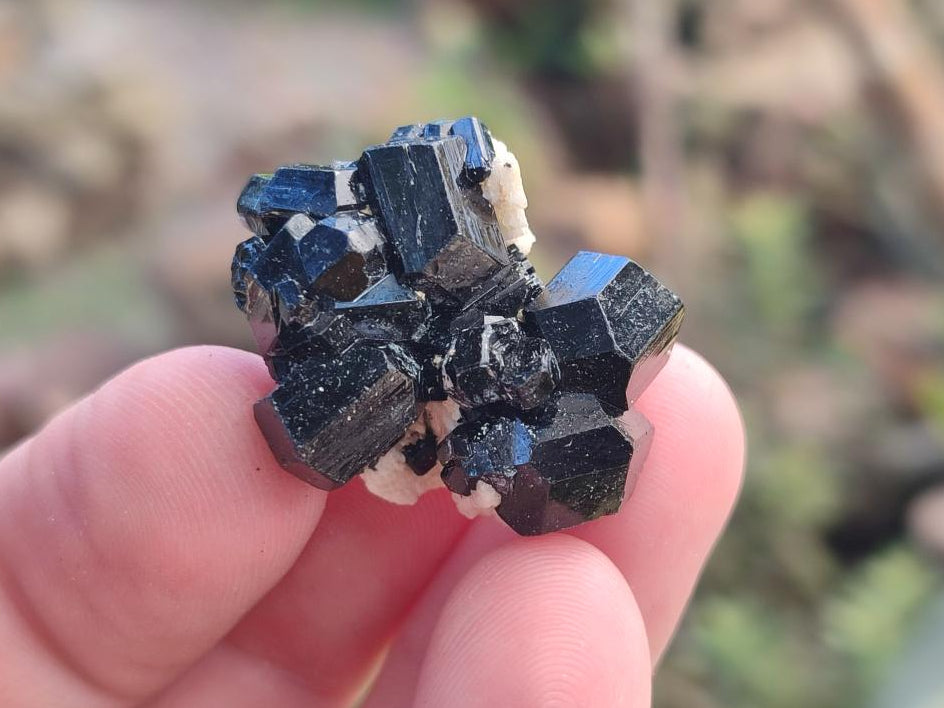 Natural Small Schorl Black Tourmaline Specimens x 70 From Erongo, Namibia - Toprock Gemstones and Minerals 