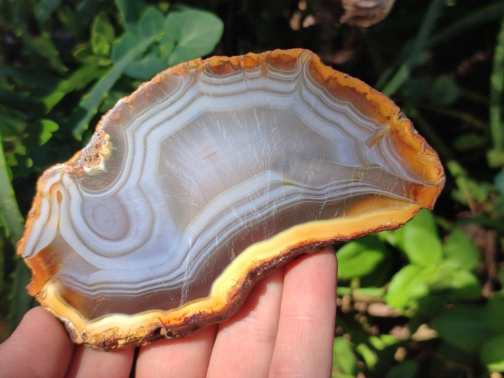 Polished Banded Agate Slices x 12 From Madagascar - Toprock Gemstones and Minerals 
