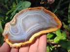 Polished Banded Agate Slices x 12 From Madagascar - Toprock Gemstones and Minerals 