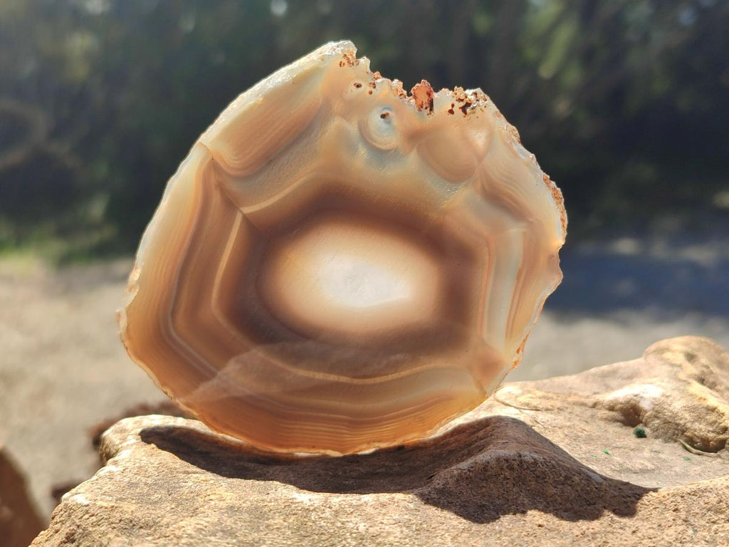 Polished Banded Agate Slices x 12 From Madagascar - Toprock Gemstones and Minerals 