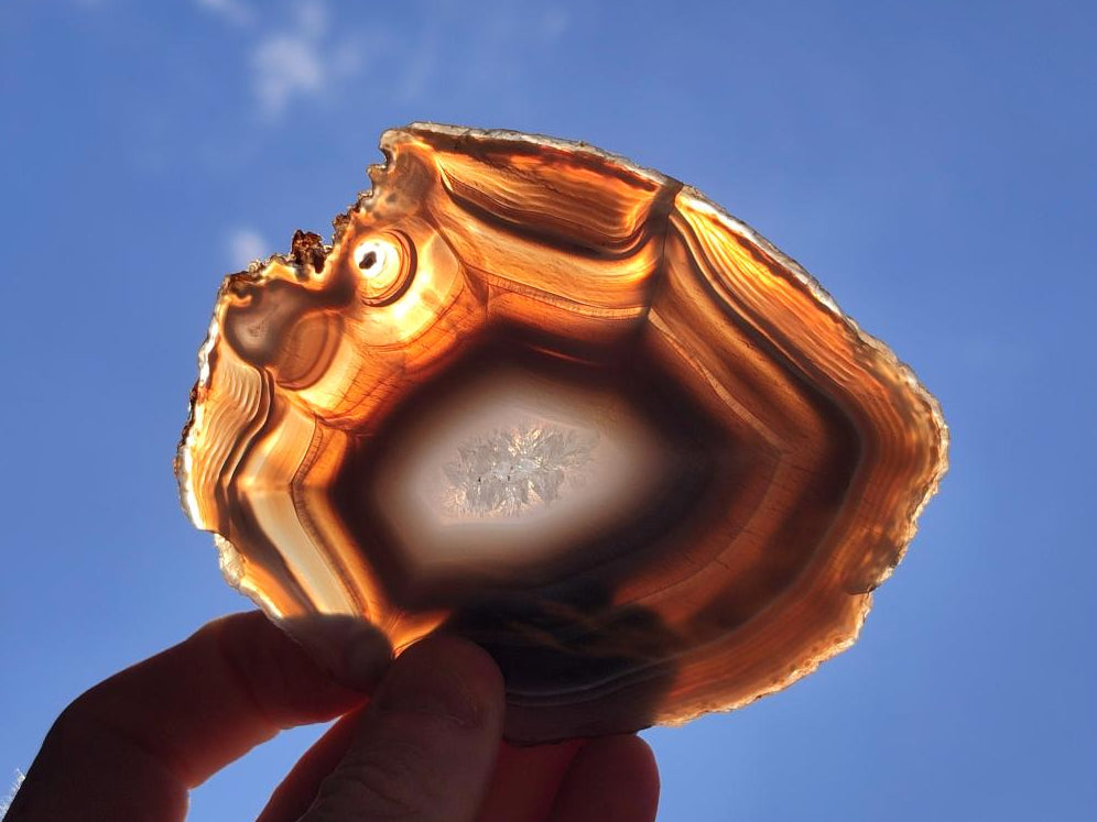 Polished Banded Agate Slices x 12 From Madagascar - Toprock Gemstones and Minerals 