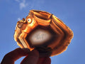 Polished Banded Agate Slices x 12 From Madagascar - Toprock Gemstones and Minerals 