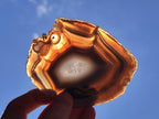 Polished Banded Agate Slices x 12 From Madagascar - Toprock Gemstones and Minerals 