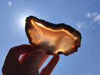 Polished Banded Agate Slices x 12 From Madagascar - Toprock Gemstones and Minerals 