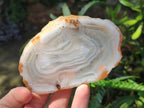 Polished Banded Agate Slices x 12 From Madagascar - Toprock Gemstones and Minerals 