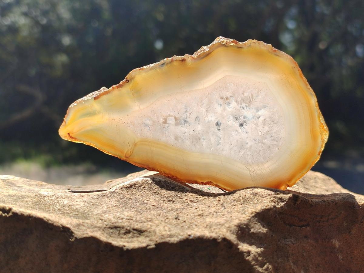 Polished Banded Agate Slices x 12 From Madagascar - Toprock Gemstones and Minerals 