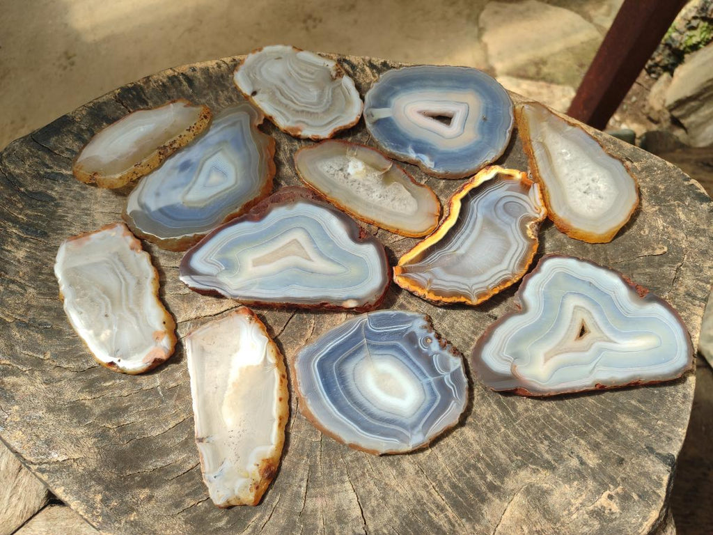 Polished Banded Agate Slices x 12 From Madagascar - Toprock Gemstones and Minerals 