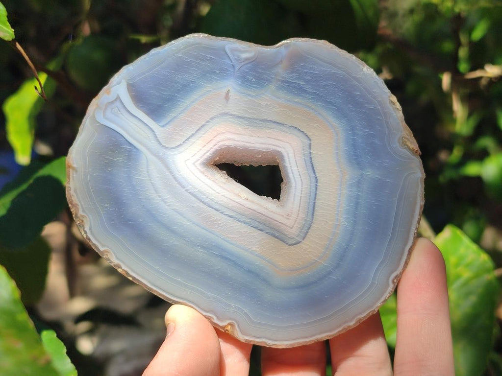 Polished Banded Agate Slices x 12 From Madagascar - Toprock Gemstones and Minerals 