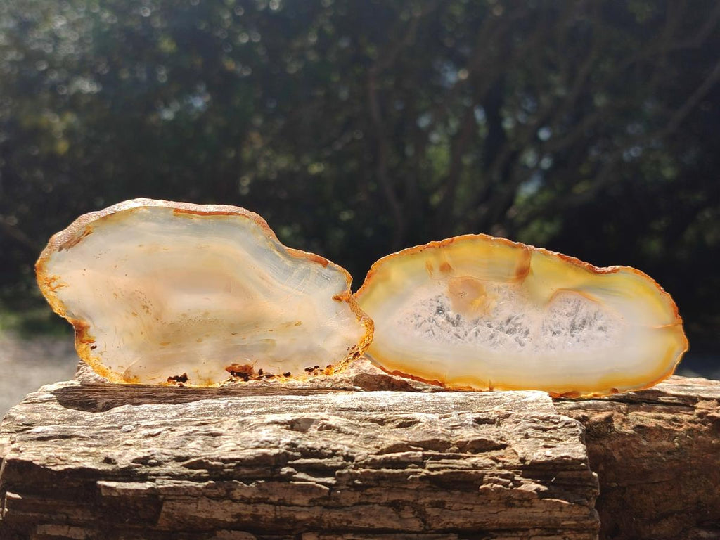 Polished Banded Agate Slices x 12 From Madagascar - Toprock Gemstones and Minerals 
