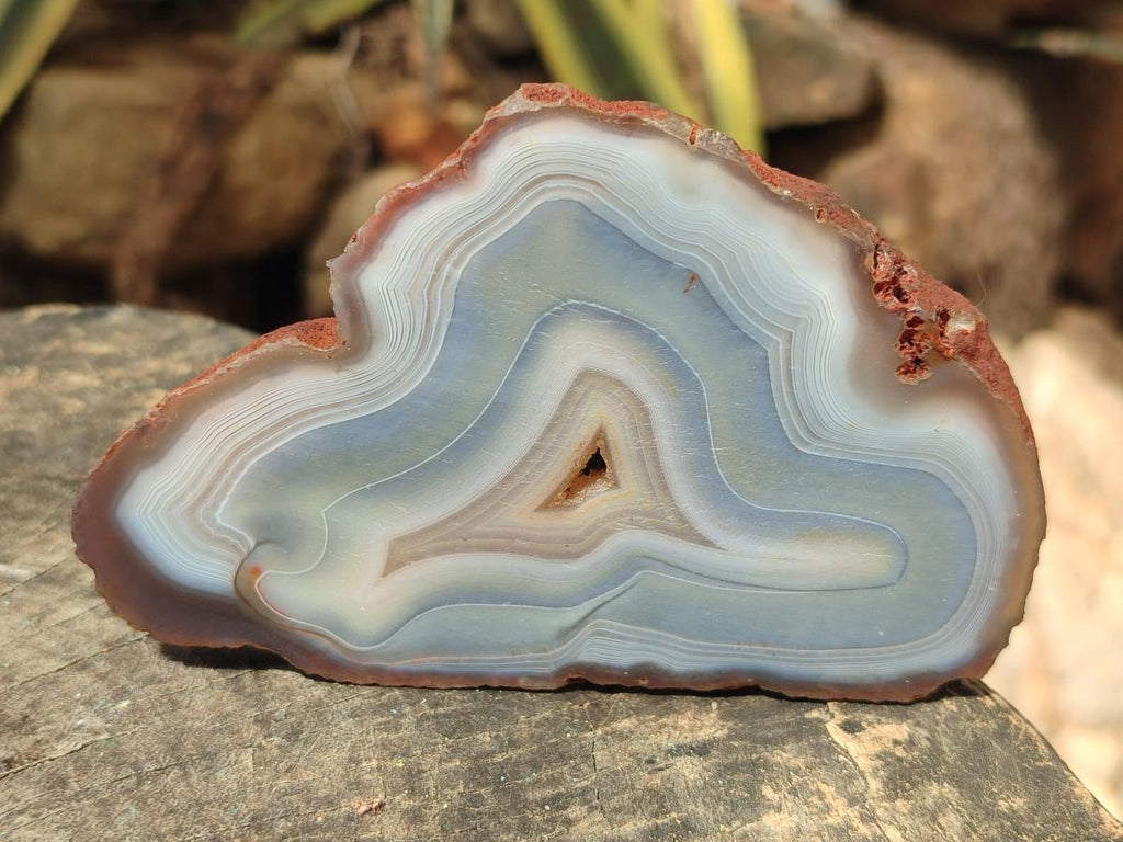 Polished Banded Agate Slices x 12 From Madagascar - Toprock Gemstones and Minerals 