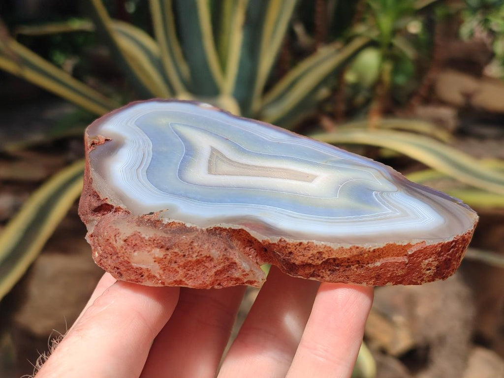 Polished Banded Agate Slices x 12 From Madagascar - Toprock Gemstones and Minerals 