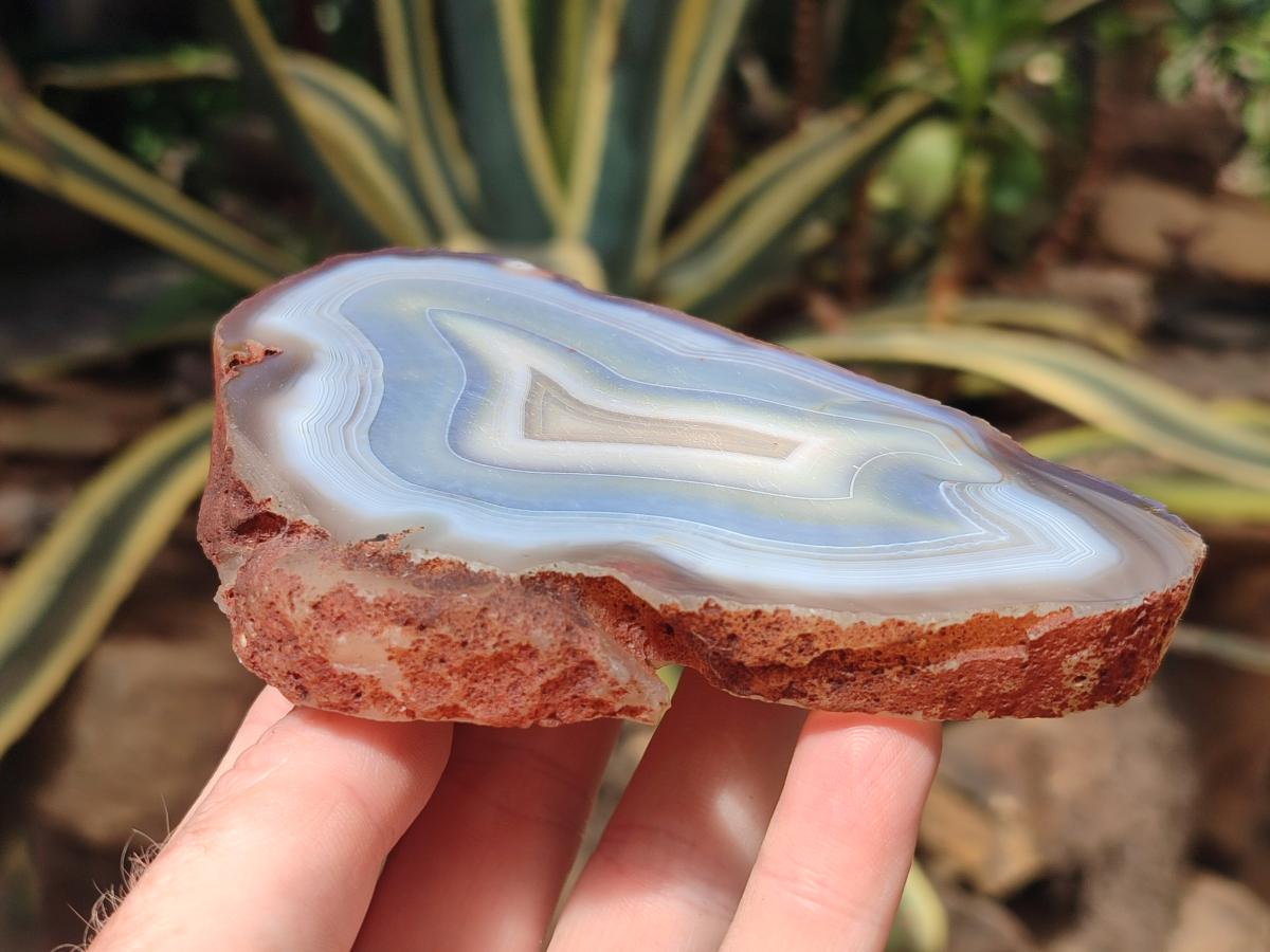 Polished Banded Agate Slices x 12 From Madagascar - Toprock Gemstones and Minerals 