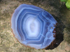 Polished Banded Agate Slices x 12 From Madagascar - Toprock Gemstones and Minerals 