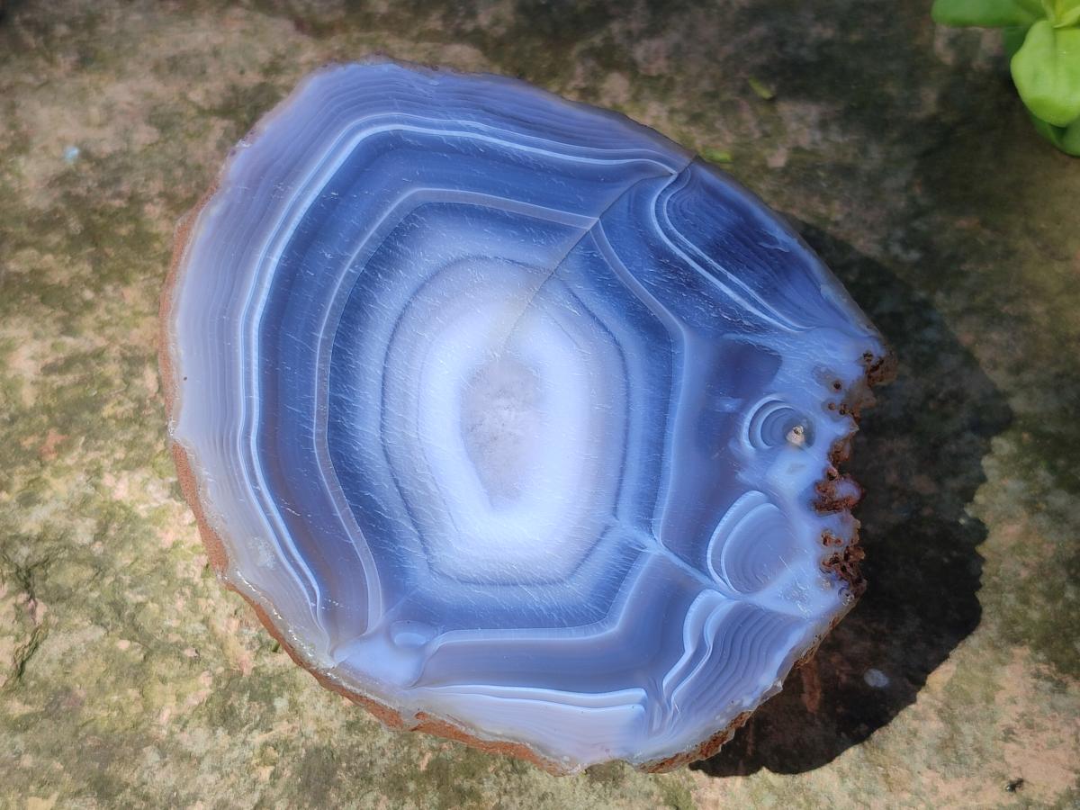 Polished Banded Agate Slices x 12 From Madagascar - Toprock Gemstones and Minerals 