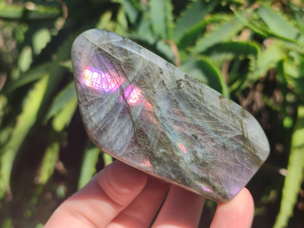 Polished Rare Purple Sunset Flash Labradorite Standing Display Pieces x 6 From Madagascar - Toprock Gemstones and Minerals 