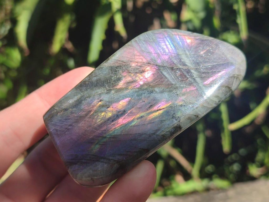 Polished Rare Purple Sunset Flash Labradorite Standing Display Pieces x 6 From Madagascar - Toprock Gemstones and Minerals 