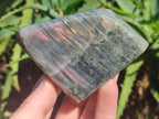 Polished Rare Purple Sunset Flash Labradorite Standing Display Pieces x 6 From Madagascar - Toprock Gemstones and Minerals 