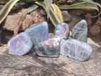 Polished Rare Purple Sunset Flash Labradorite Standing Display Pieces x 6 From Madagascar - Toprock Gemstones and Minerals 