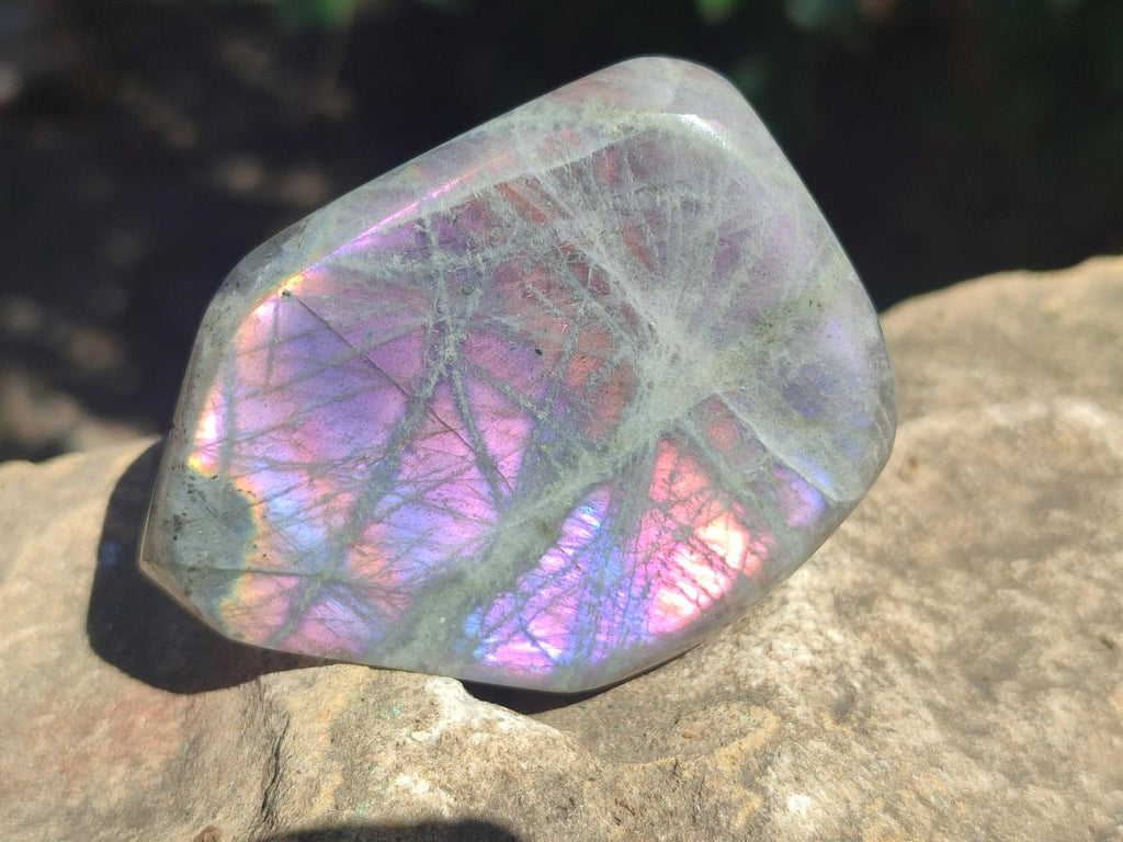 Polished Rare Purple Sunset Flash Labradorite Standing Display Pieces x 6 From Madagascar - Toprock Gemstones and Minerals 