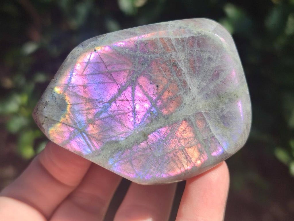 Polished Rare Purple Sunset Flash Labradorite Standing Display Pieces x 6 From Madagascar - Toprock Gemstones and Minerals 