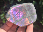 Polished Rare Purple Sunset Flash Labradorite Standing Display Pieces x 6 From Madagascar - Toprock Gemstones and Minerals 