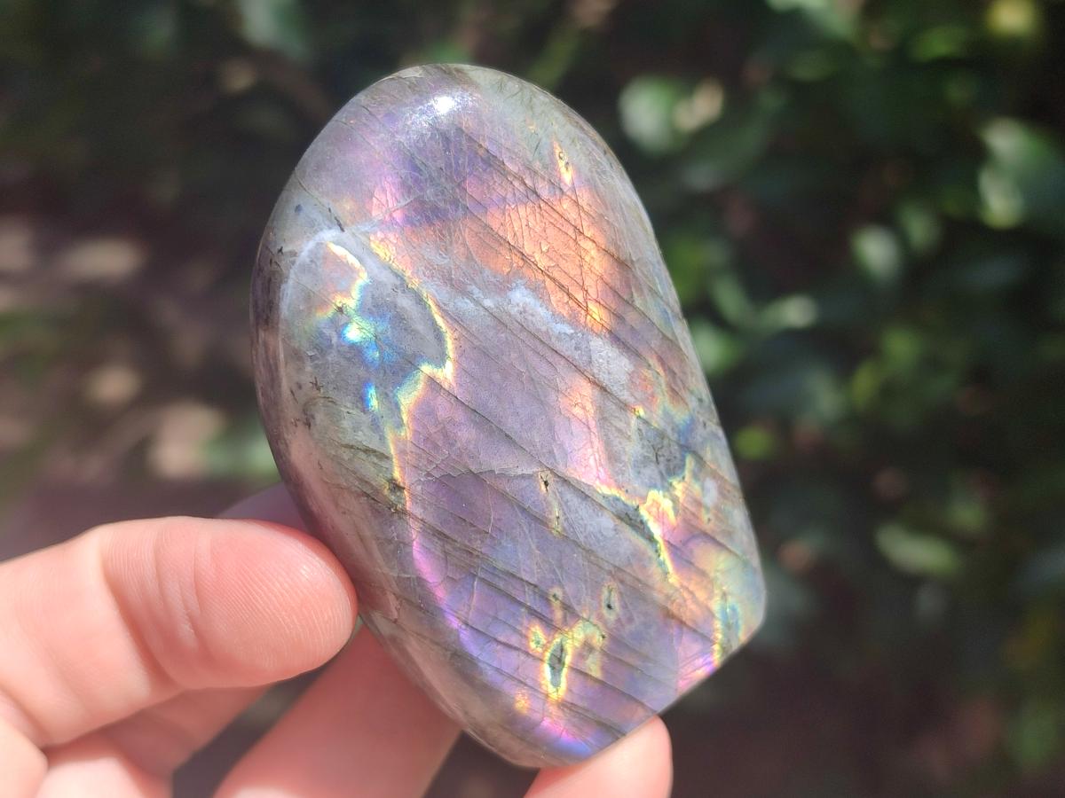 Polished Rare Purple Sunset Flash Labradorite Standing Display Pieces x 6 From Madagascar - Toprock Gemstones and Minerals 