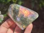 Polished Rare Purple Sunset Flash Labradorite Standing Display Pieces x 6 From Madagascar - Toprock Gemstones and Minerals 
