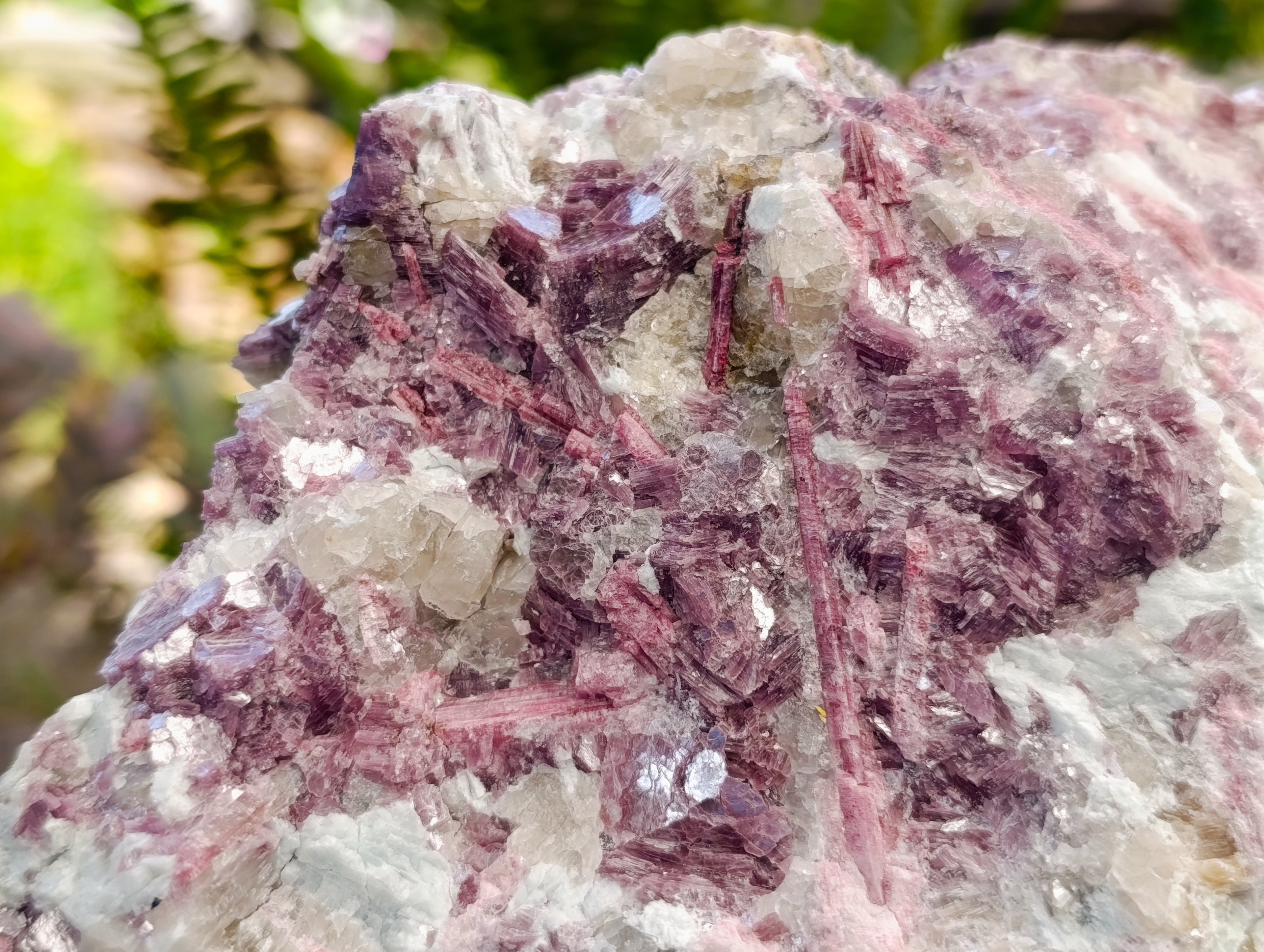 Natural Large Pink Rubellite Tourmaline Specimen x 1 From Karibib, Namibia - Toprock Gemstones and Minerals 