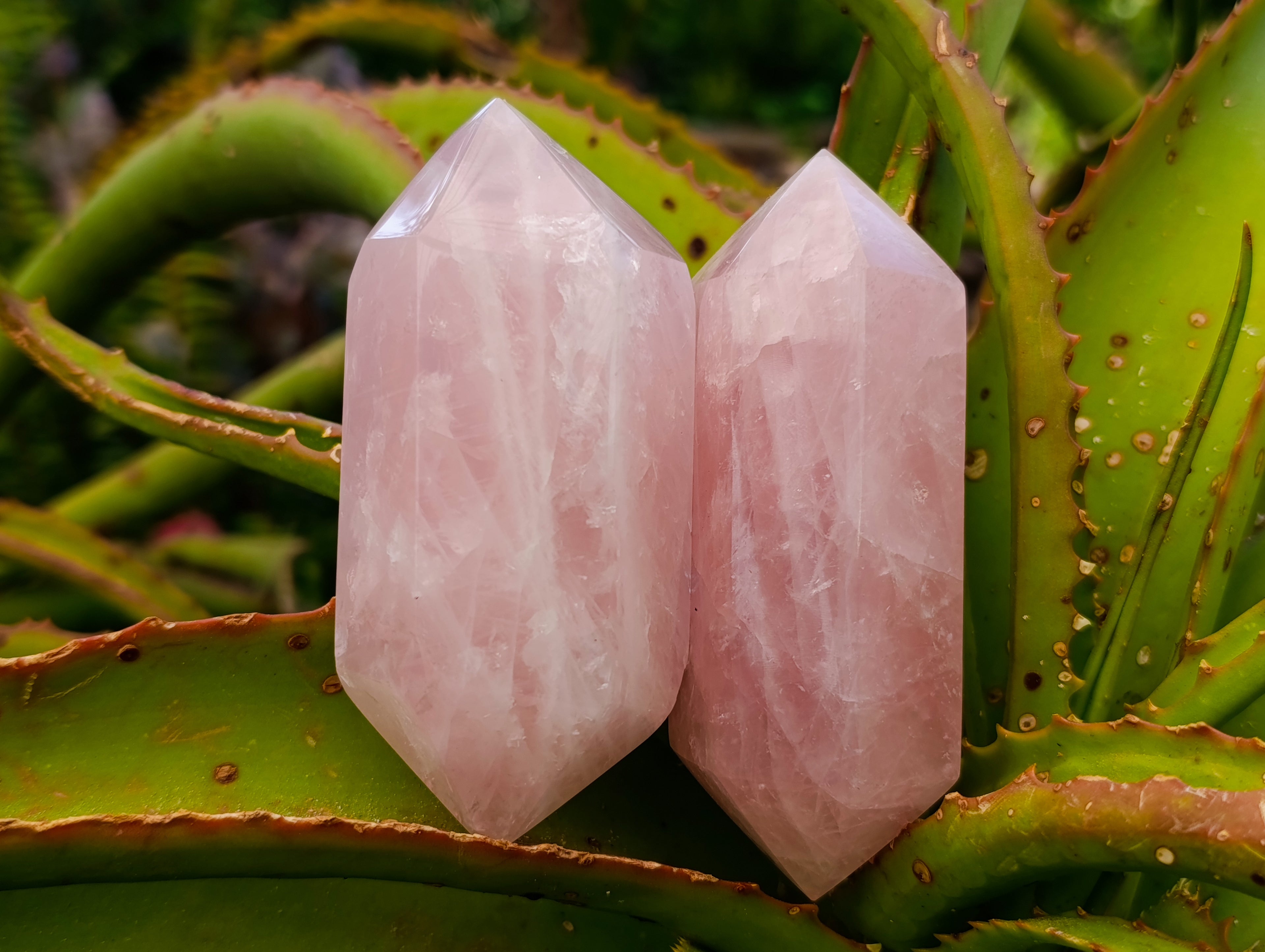 Polished Double Terminated Gemmy Rose Quartz Crystals x 12 From Madagascar - Toprock Gemstones and Minerals 