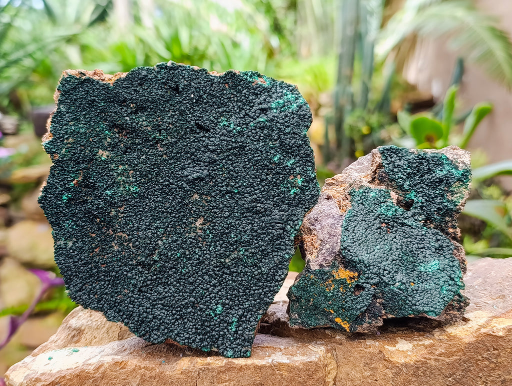 Natural Fine Botryoidal Crystalline Malachite Specimens x 3 From Tenke Fungurume, Congo - Toprock Gemstones and Minerals 