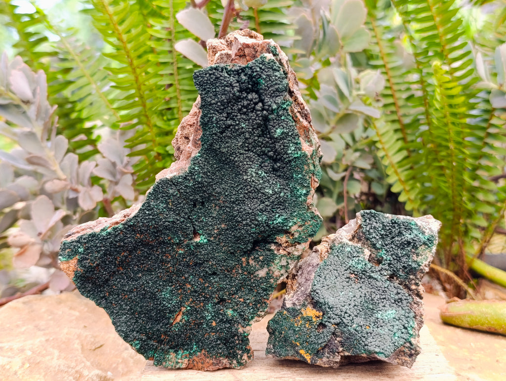 Natural Fine Botryoidal Crystalline Malachite Specimens x 3 From Tenke Fungurume, Congo - Toprock Gemstones and Minerals 
